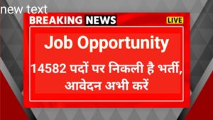 SSC Job Oppertunity